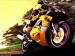 motorka___gsx_r750.jpg